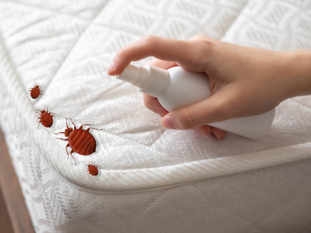 Best Pest Prevention Services  in Rockport, IN